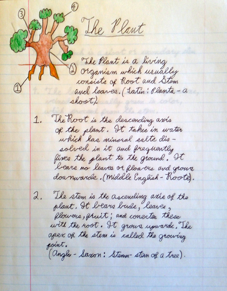 Biology Journal Page