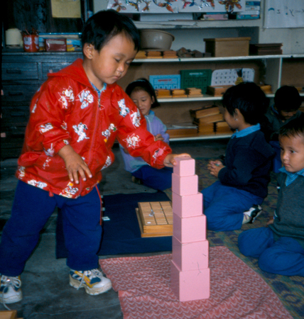 The Pink Tower, in Inda